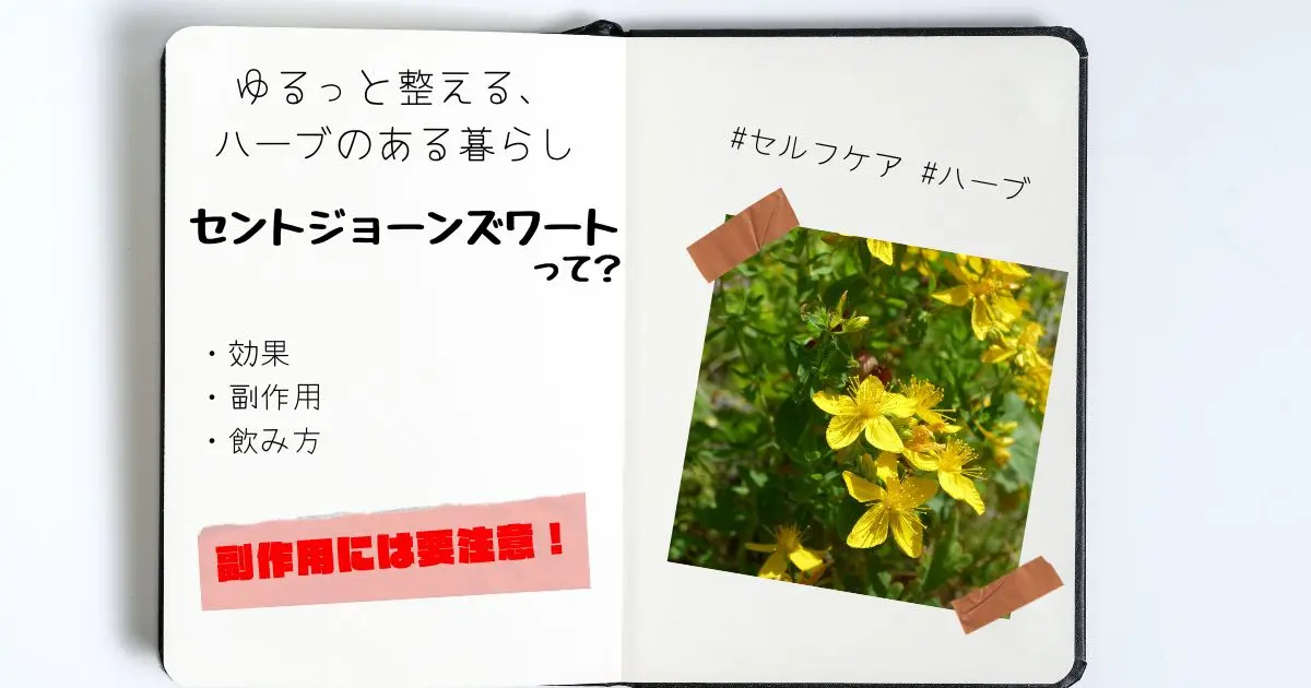 見開きノートに、マステで貼られたセントジョーンズワートの写真と、手書きで「セントジョーンズワートって？」と書かれたセルフケア・ハーブに関するアイキャッチ画像